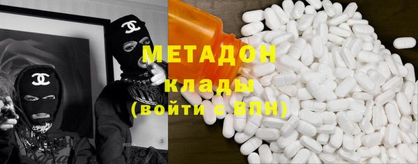 прущие грибы Покачи