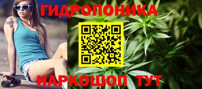 a pvp Кунгур