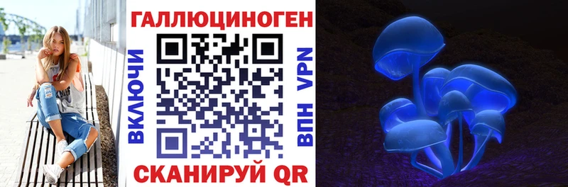Псилоцибиновые грибы прущие грибы  даркнет формула  Стерлитамак 